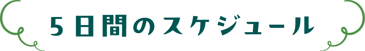 スケジュール